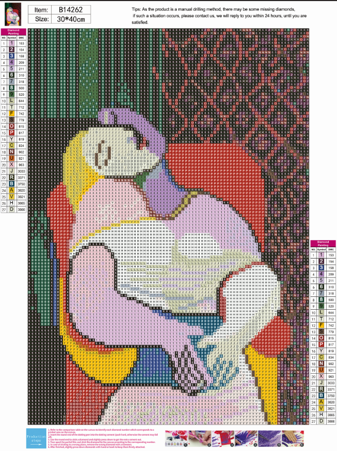 El Sueño Picasso 30cm x 40cm