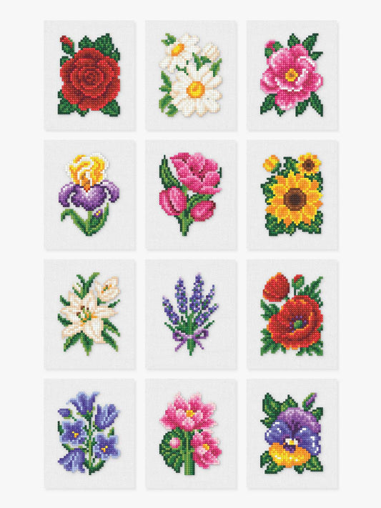 EDICIÓN FLORES