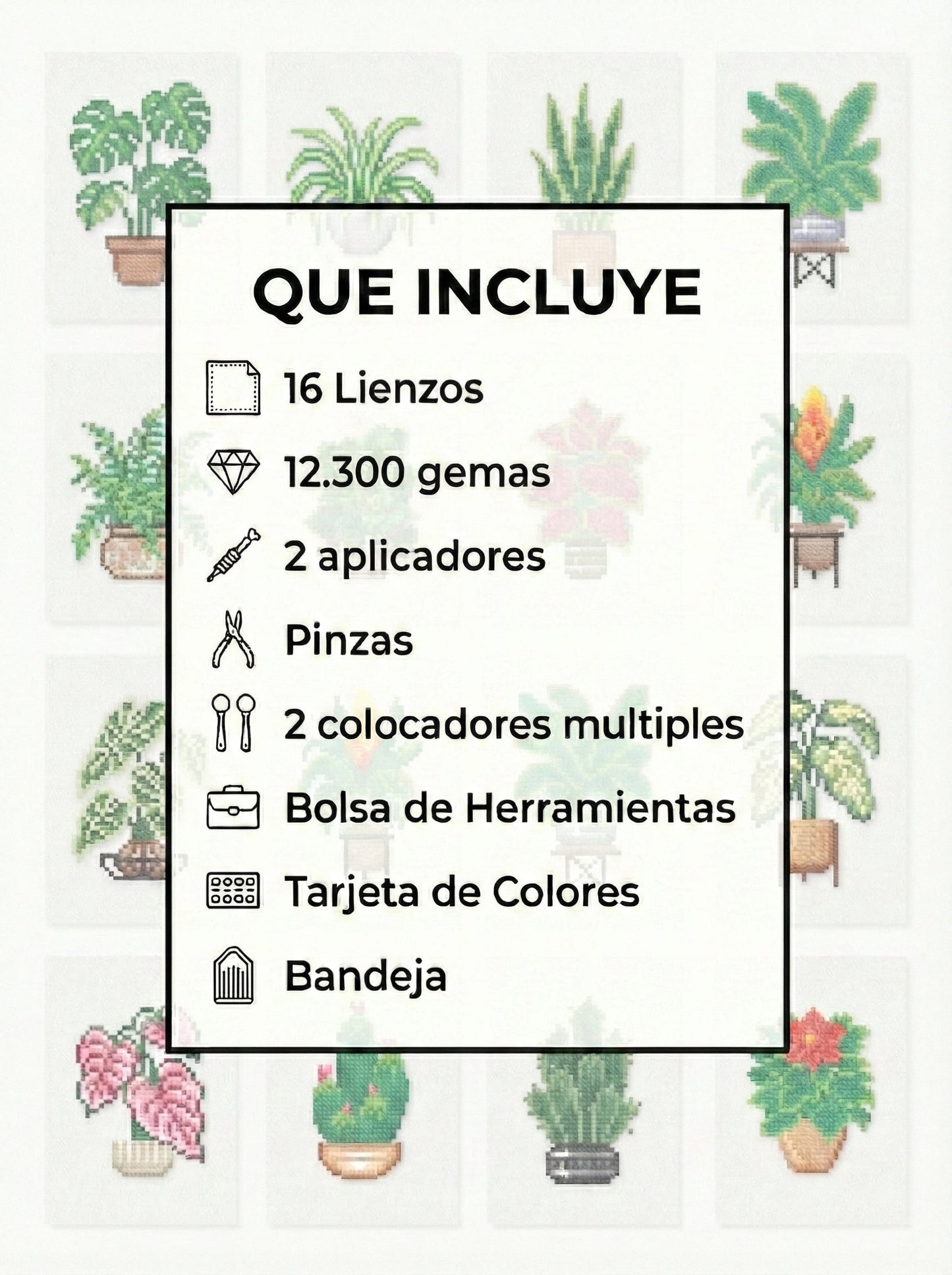 EDICIÓN PLANTAS (16 Lienzos)