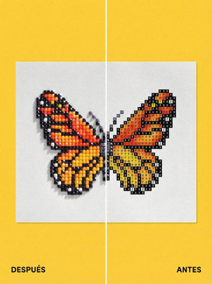EDICIÓN MARIPOSAS (15 Lienzos)