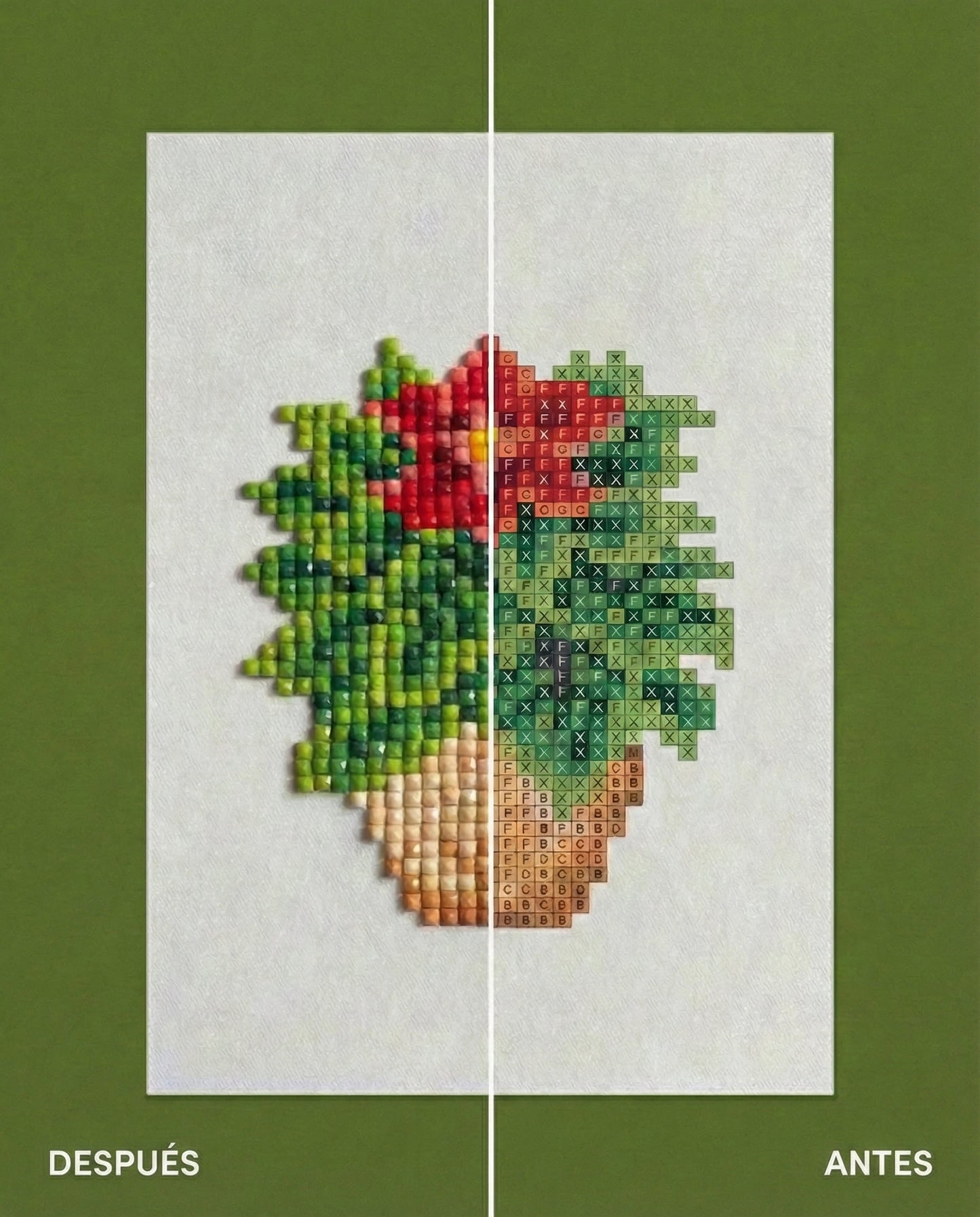 EDICIÓN PLANTAS (16 Lienzos)