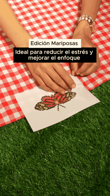 Mariposa en proceso