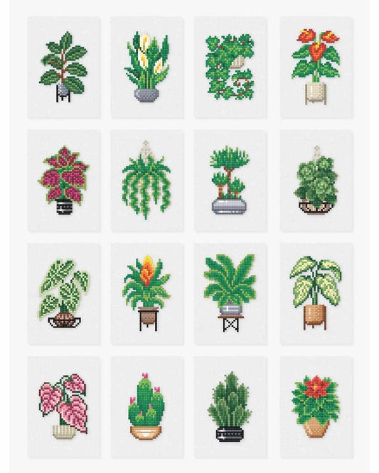 EDICIÓN PLANTAS (16 Lienzos)
