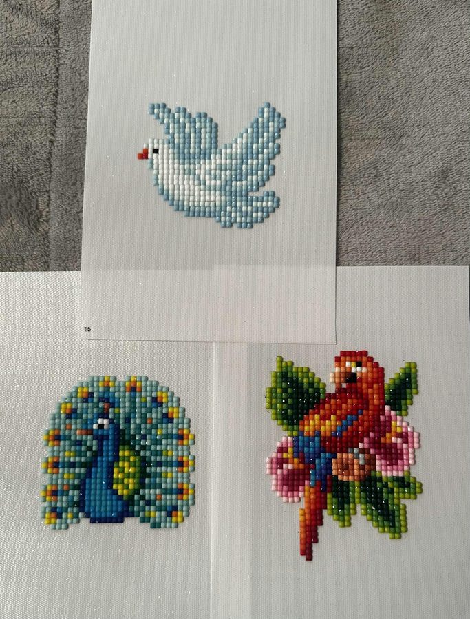 Lienzos de la Edición Aves terminados
