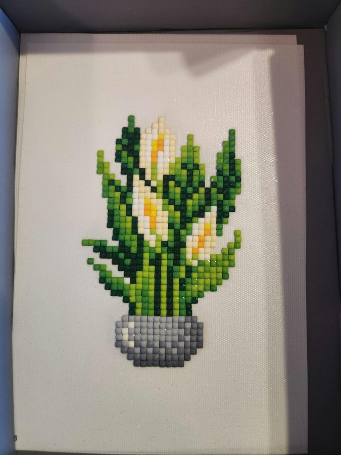 Foto de la reseña de Carlos Ramírez